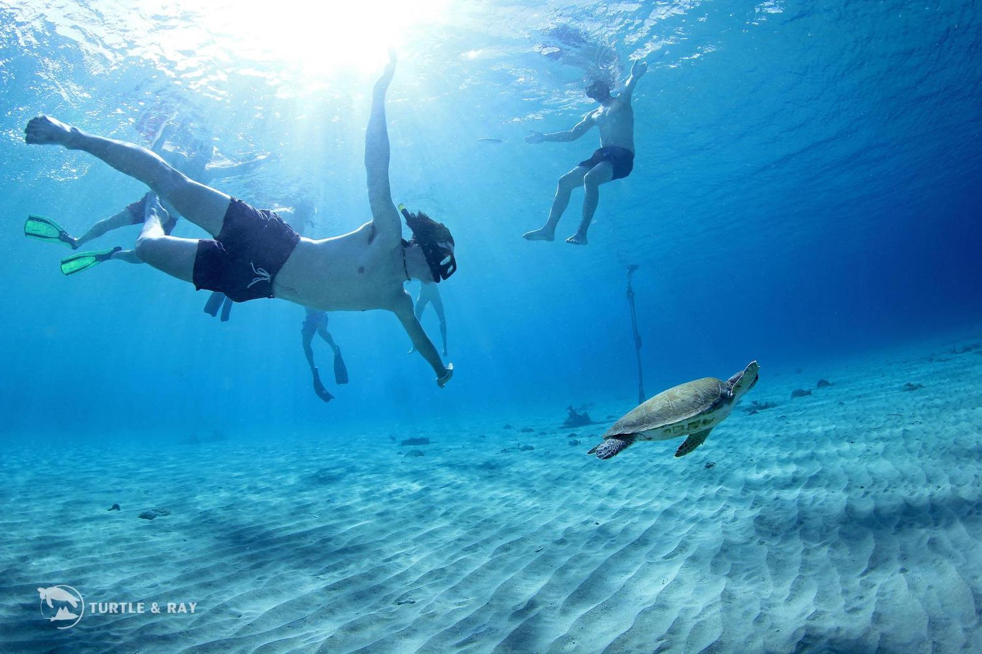 Lagun Blou Resort Curacao 外观 照片