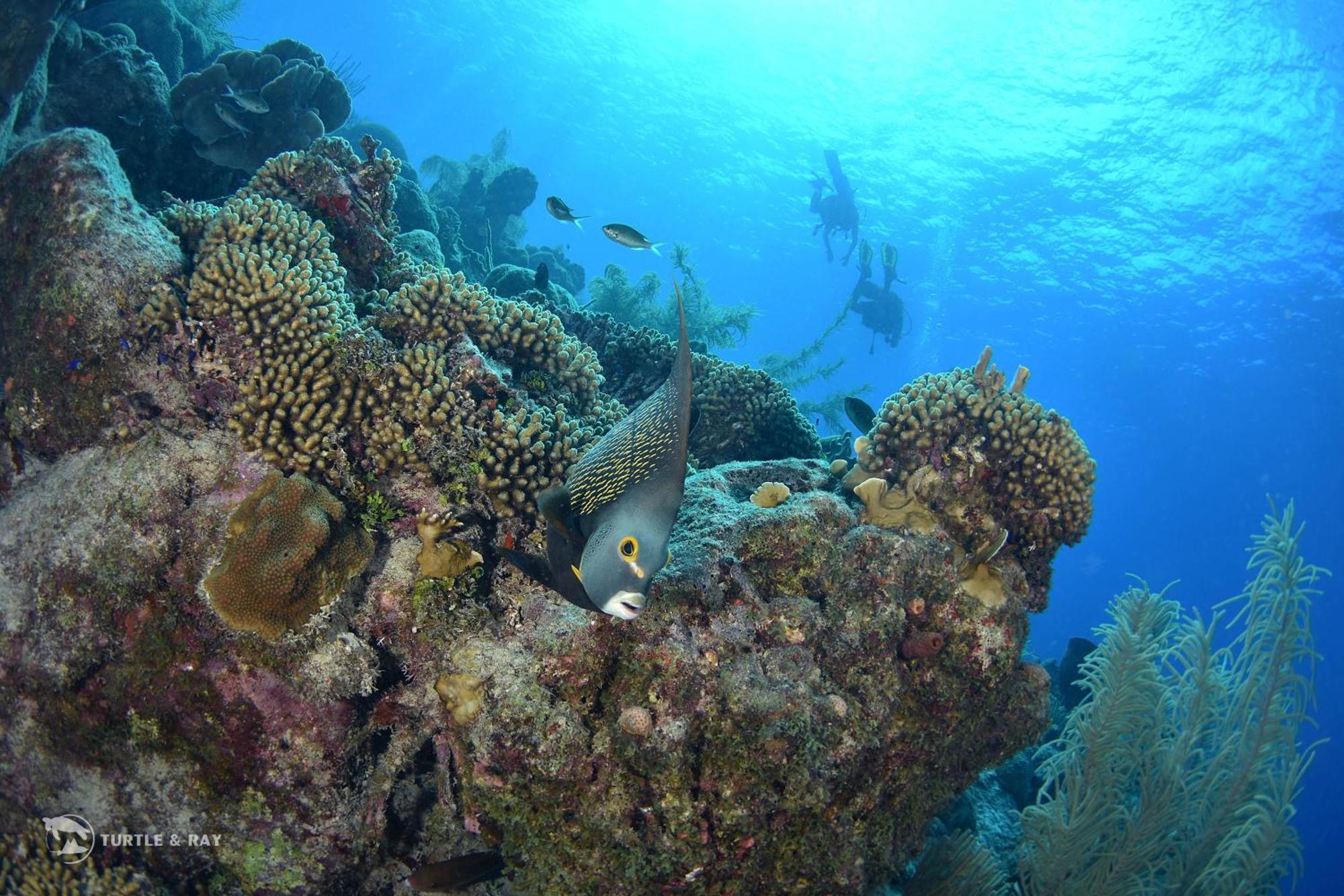 Lagun Blou Resort Curacao 外观 照片